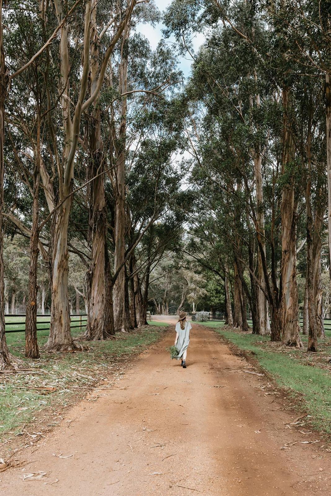 Chambre Estate Margaret River ภายนอก รูปภาพ