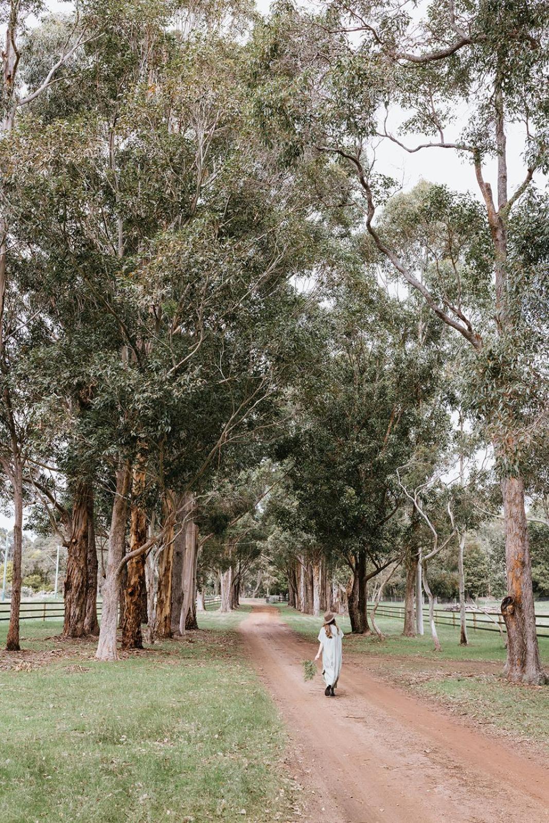 Chambre Estate Margaret River ภายนอก รูปภาพ