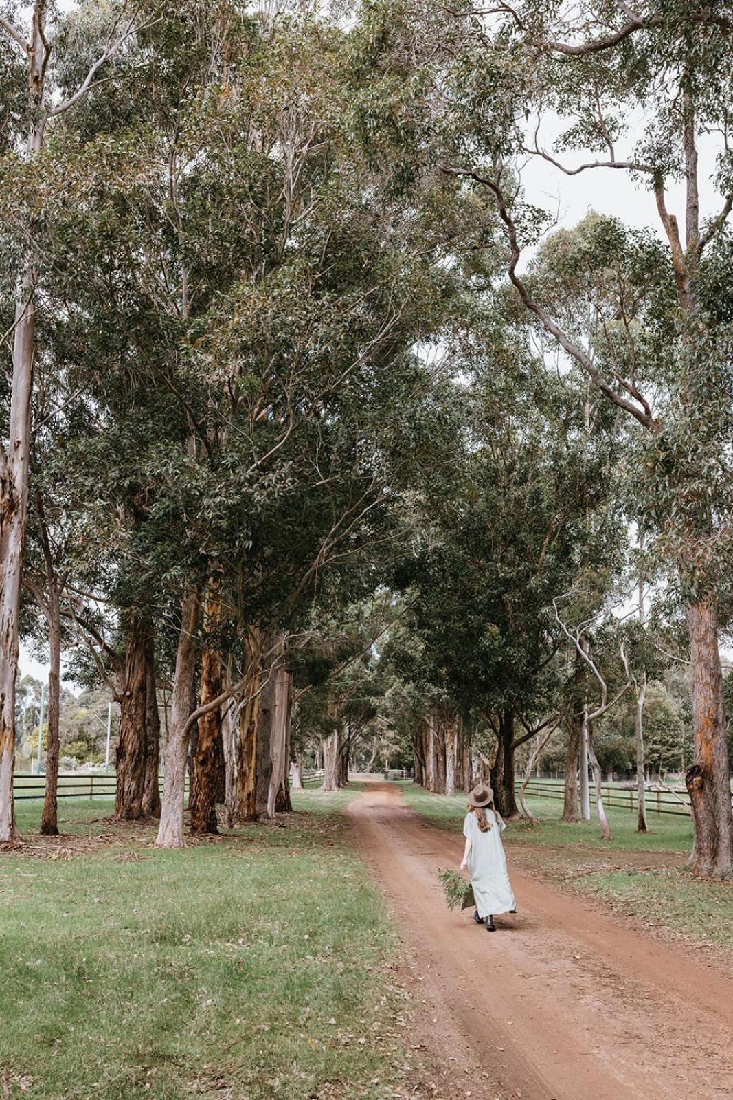 Chambre Estate Margaret River ภายนอก รูปภาพ